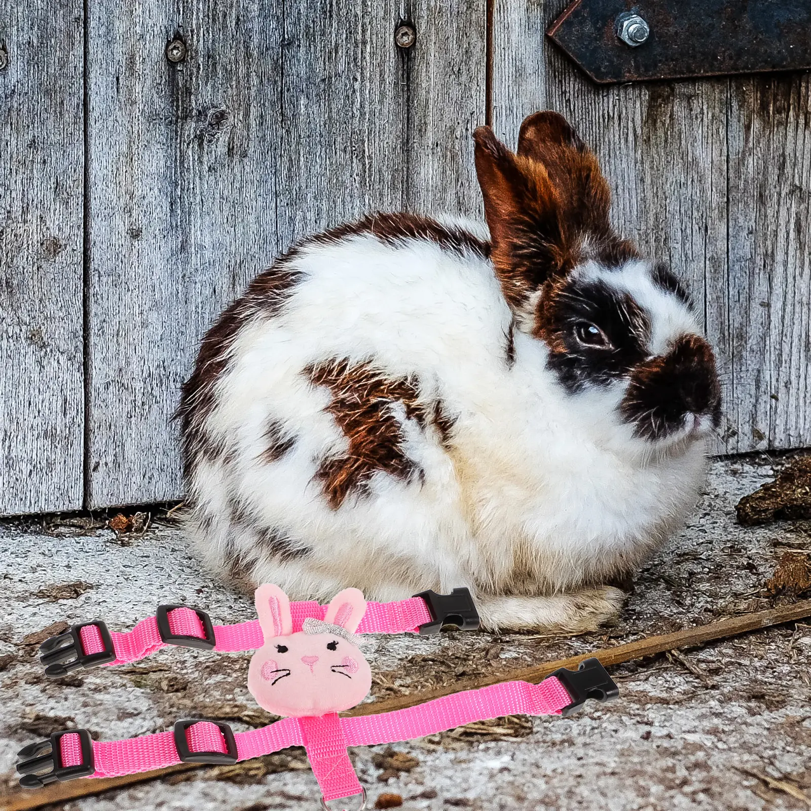 Pet Leash Rabbit Small Harness Kit Traction Bunny Walking Rope Ferret Soft Outdoor Supplies Adjustable S Size 2 Pieces Set Long