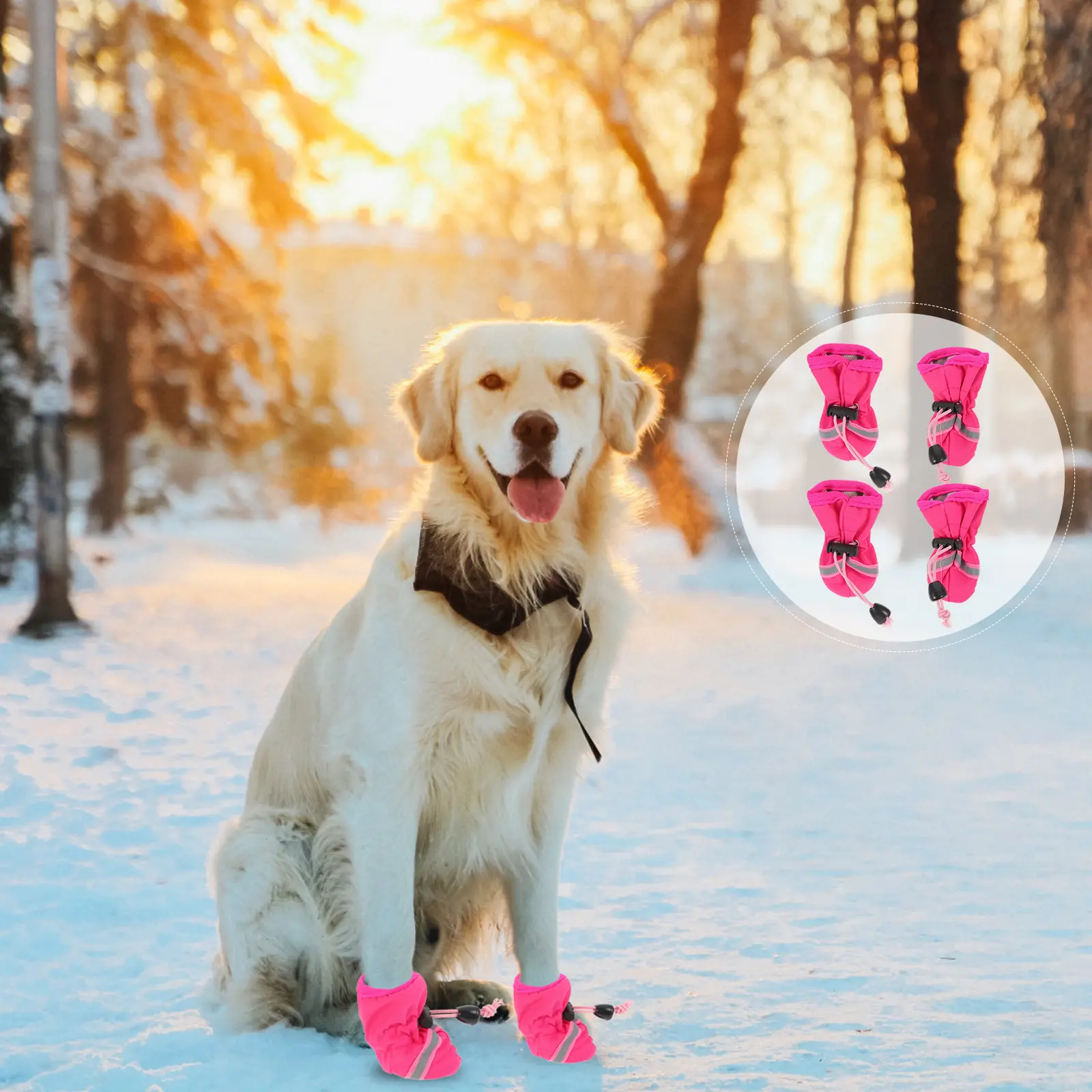 4pcs Dog Shoes Waterproof Rubber Boots for Hot Pavement Outdoor Pet Sneakers Protect Paws Dirt Stones Scratches Fashion Doggy