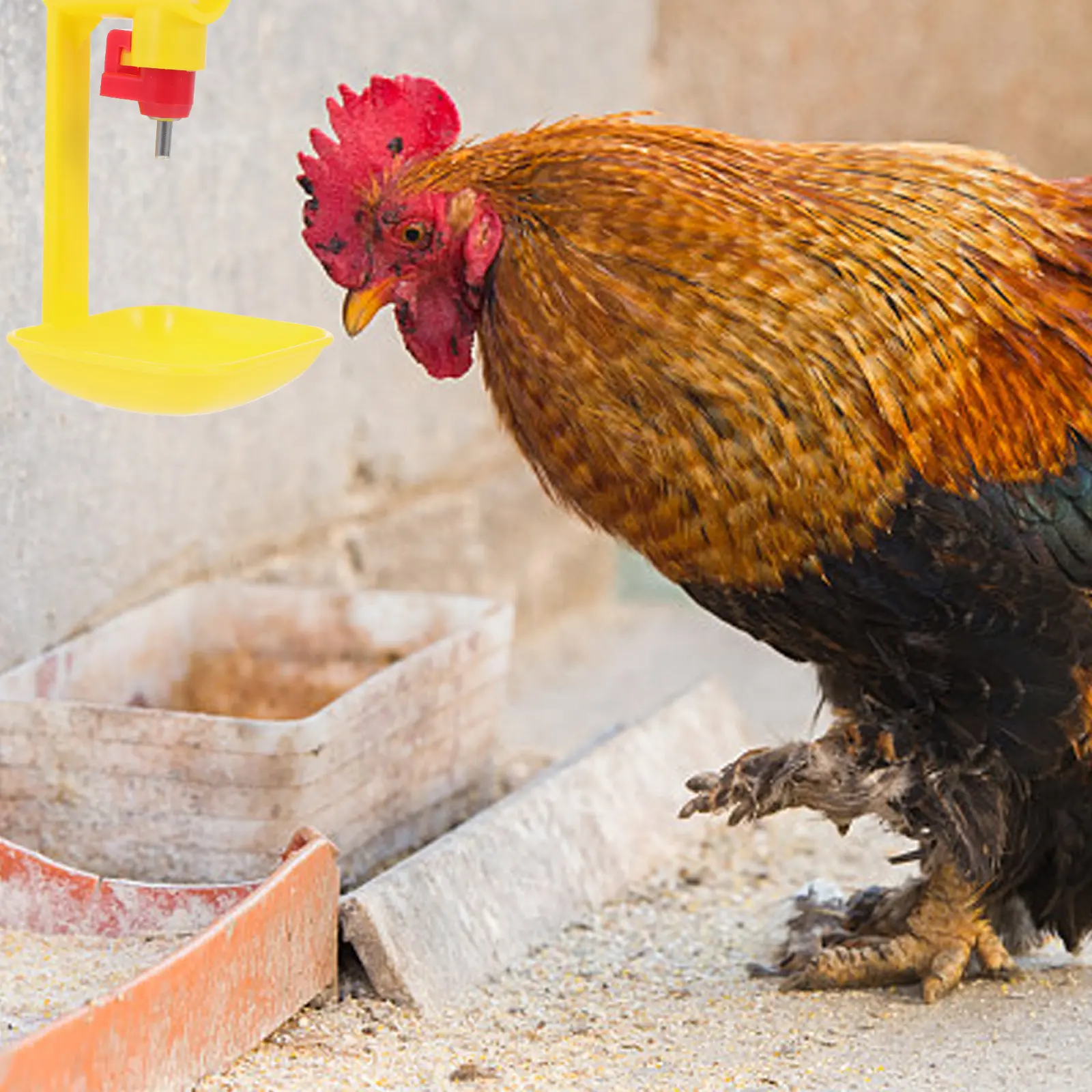 Chicken Water Drinker Large Capacity Automatic Bowl Poultry Yellow Nipples Farm Supplies Plastic Stainless Steel 360 Degree