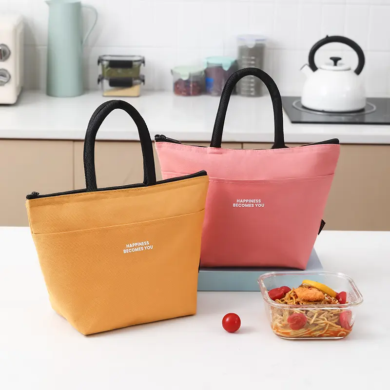 Portable Lunch Box Thermal Bag for Women Men High Capacity Bento Food Storage Container Picnic Insulated Cooler Bags Handbags