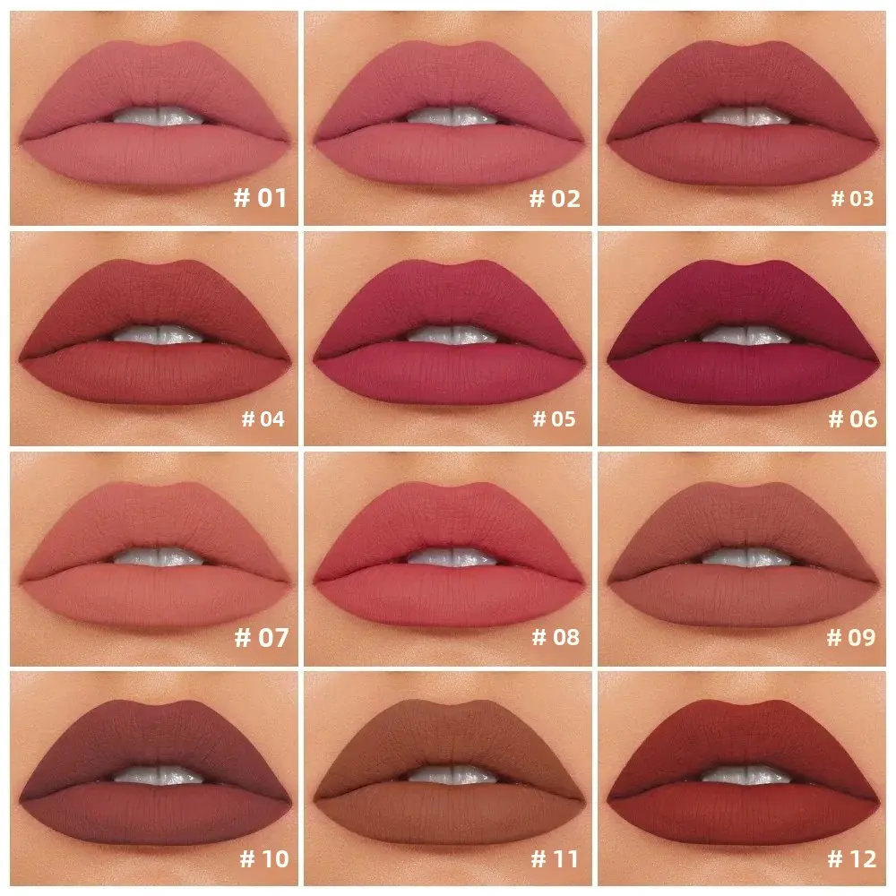 Matte Finish Lipstick 12 Colors Hydrating Non Drying Transfer Proof Lip Stain Velvety Smooth Formula All Day Wear