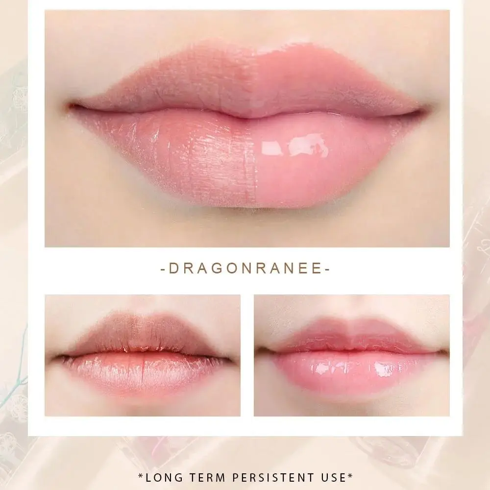 6 Pcs Dried Flower Transparent Lip Oil Set Moisturizing Hydrating Roll On Fresh Floral Lip Balm For Winter Care