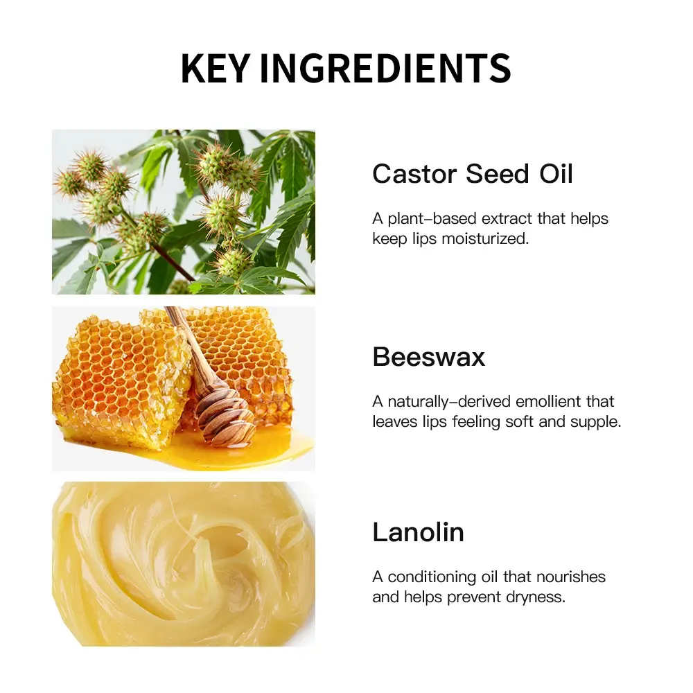 8 Scents Lip Balm Deep Moisturizing Coconut Strawberry Rose Plant Extract Gel Oil Lightening Lip Lines Nourishes Lip Care Makeup