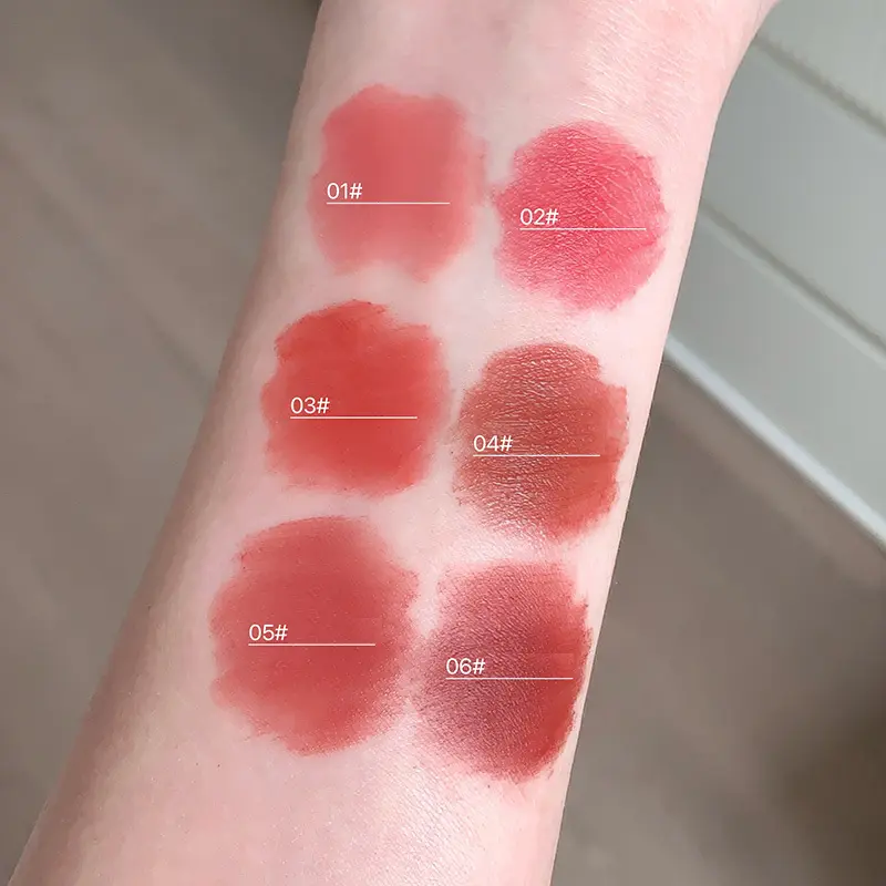 Velvet Iron Lip Cream Silky Matte Female Natural Red Bean Paste Lip Mud Party Waterproof Long Lasting Lip Glaze Cute Makeup Set