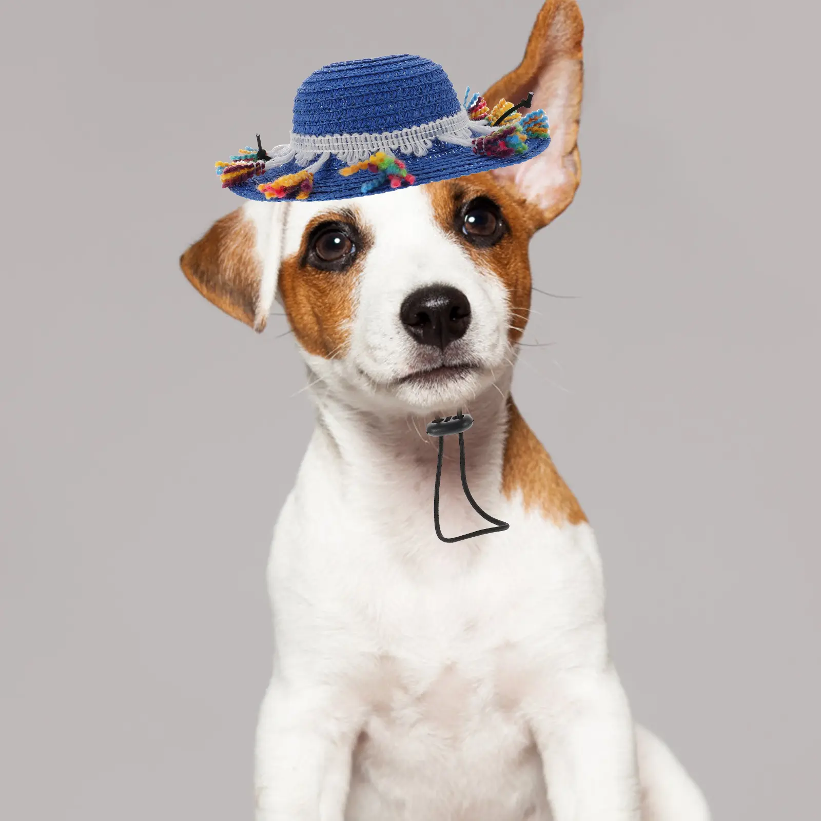 Tassel Straw Hat for Mini Small Dogs Cats Pet Mexican Sombrero Costume Cap Lightweight Dog Party Hat Decorative Straw Woven Pet