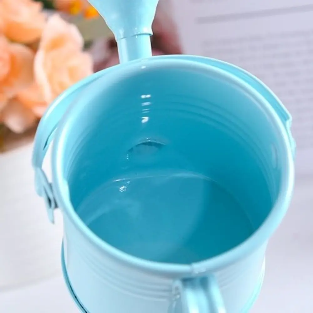 Mini Small Water Spraying Pot Garden Flower Kettle Metal Watering Can Sprinkled