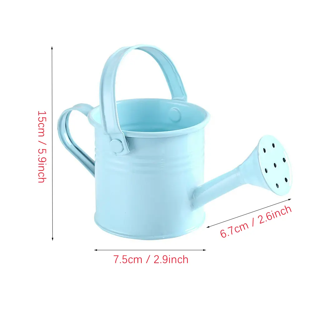 Mini Small Water Spraying Pot Garden Flower Kettle Metal Watering Can Sprinkled