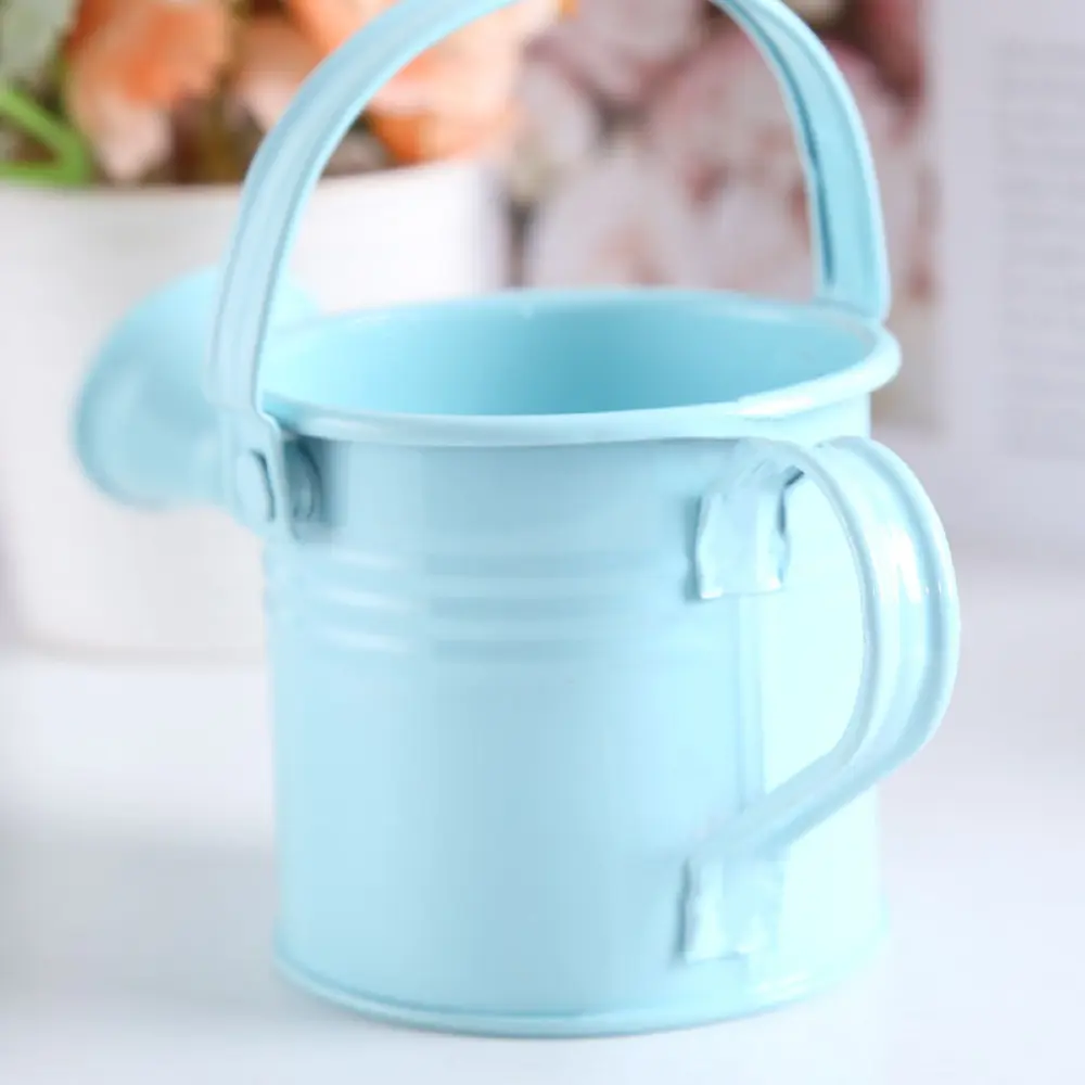 Mini Small Water Spraying Pot Garden Flower Kettle Metal Watering Can Sprinkled