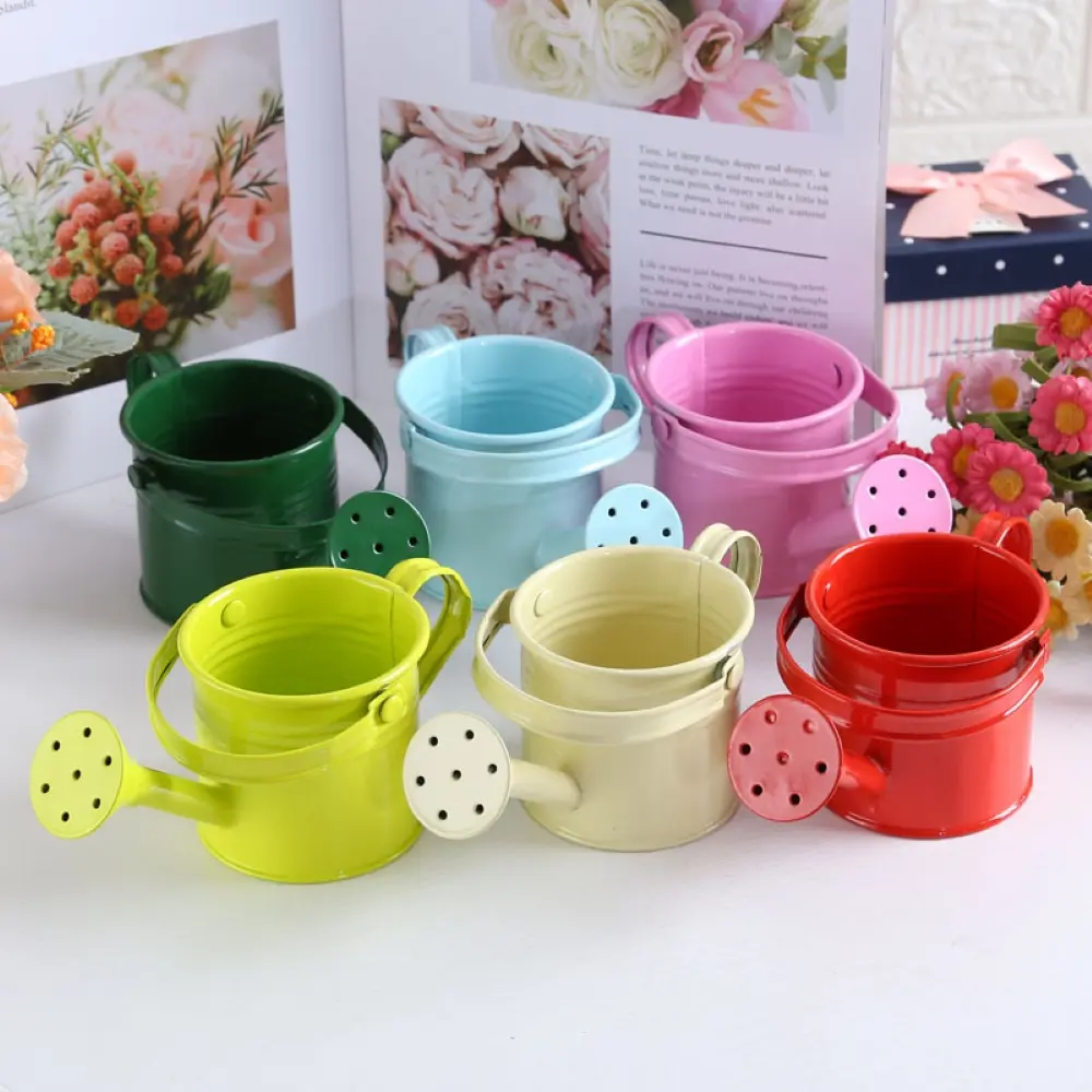 Mini Small Water Spraying Pot Garden Flower Kettle Metal Watering Can Sprinkled