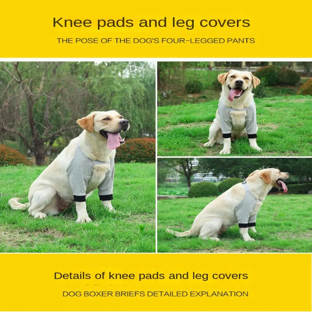Breathable Pain Relief Shoulder Support Elbow Sleeves Pads Pet Dog Puppy Elbow Brace Protector for Canine Elbow Dog Supplies