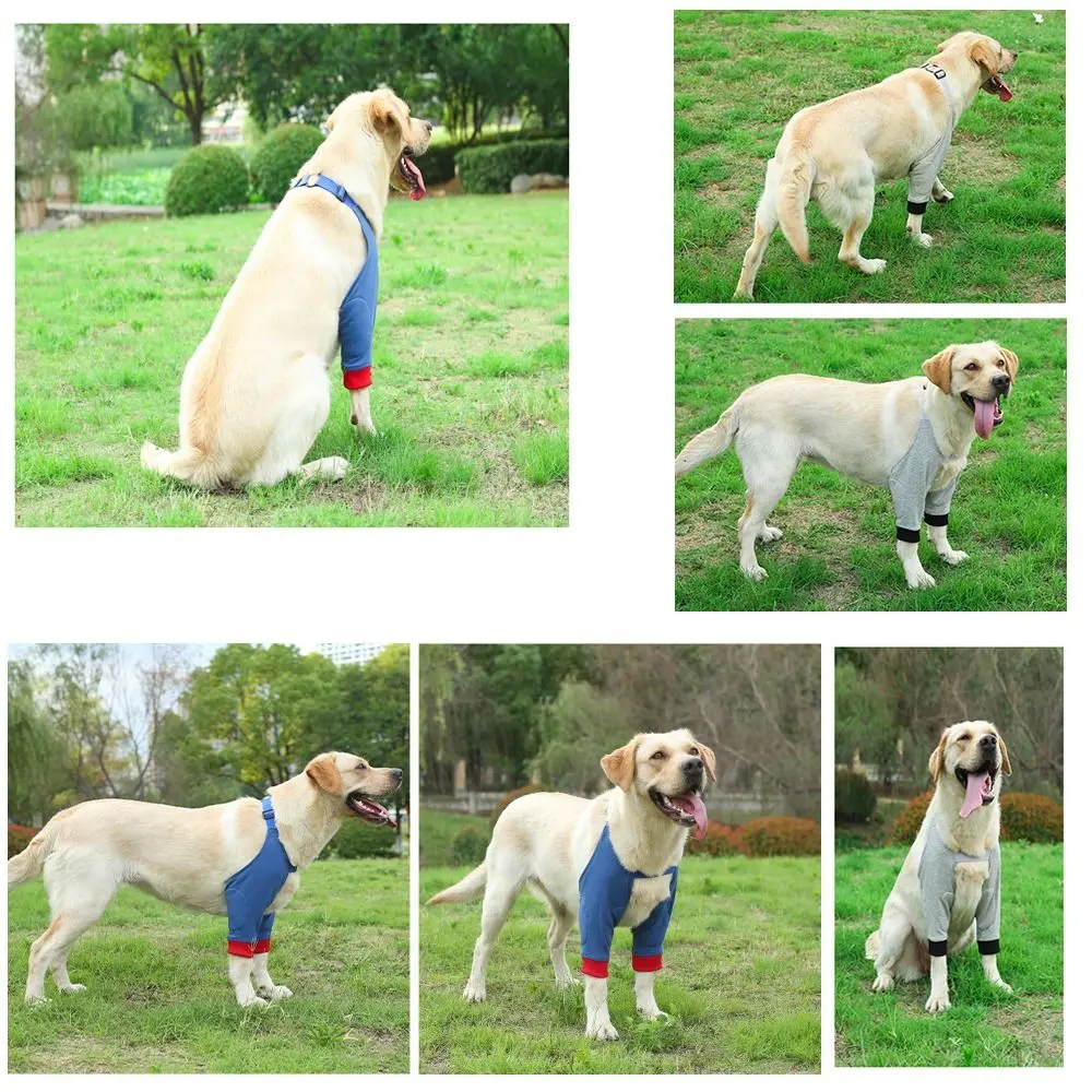 Breathable Pain Relief Shoulder Support Elbow Sleeves Pads Pet Dog Puppy Elbow Brace Protector for Canine Elbow Dog Supplies