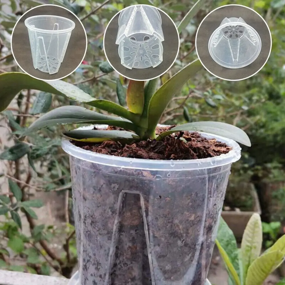 Clear Plastic Plant Container Orchid Pots With Holes Transparent Flower Pot Succulents Plant Succulent Box