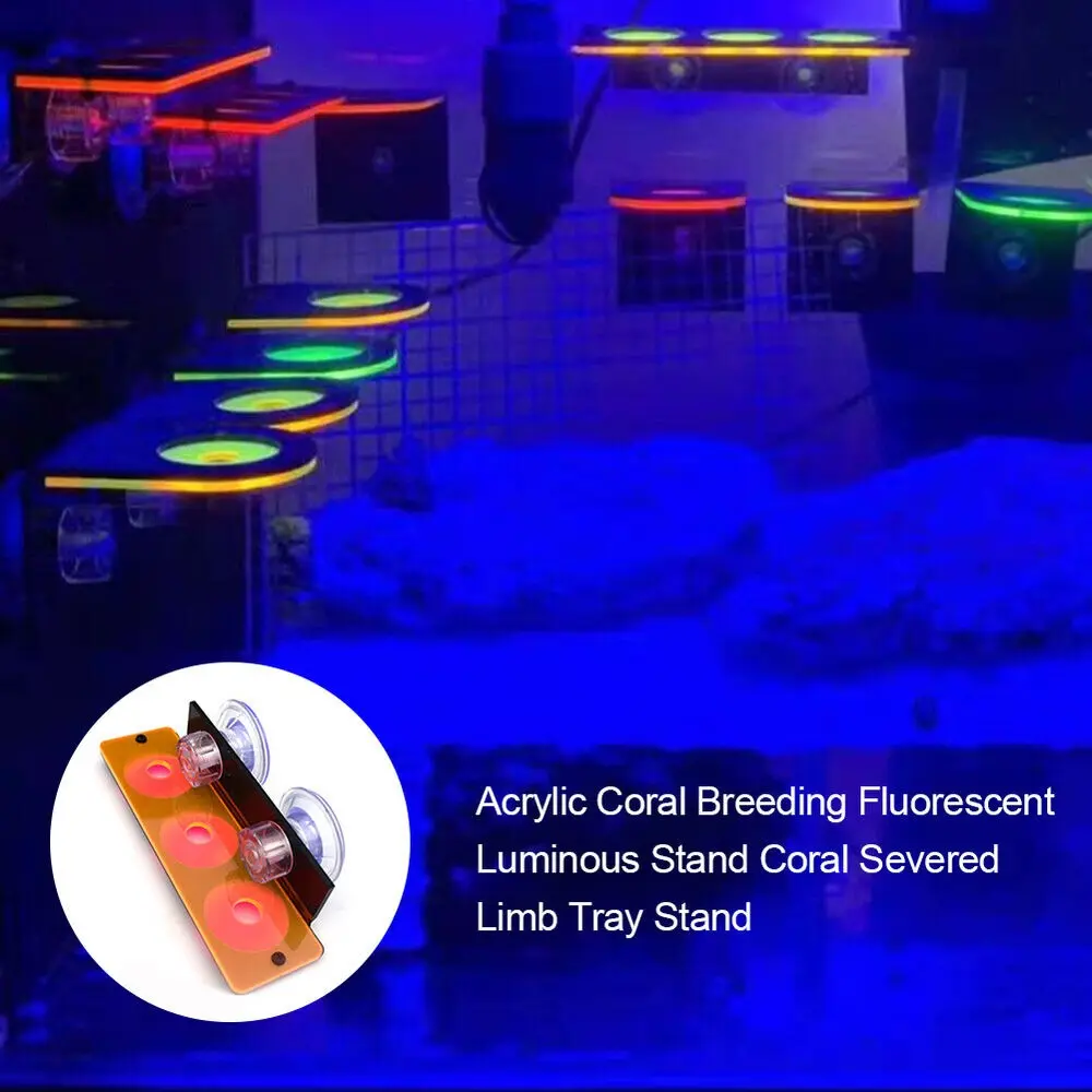 Coral Growing Holder Fish Tank Fluorescent Coral Frag Bracket Acrylic Coral Rack Marine Reef Stand Aquarium Accessories