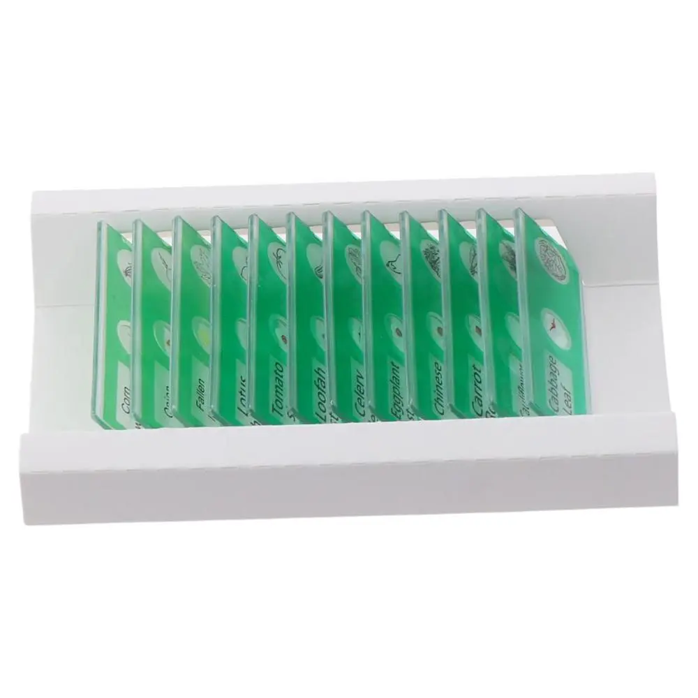 Animals Insects Plants Flowers Sample Specimens Prepared Microscope Slides for Children Homeschooling Biology Science Programs
