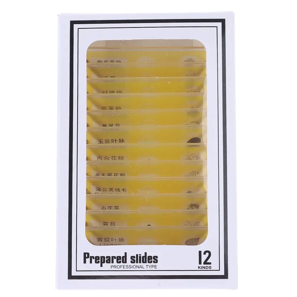 Animals Insects Plants Flowers Sample Specimens Prepared Microscope Slides for Children Homeschooling Biology Science Programs