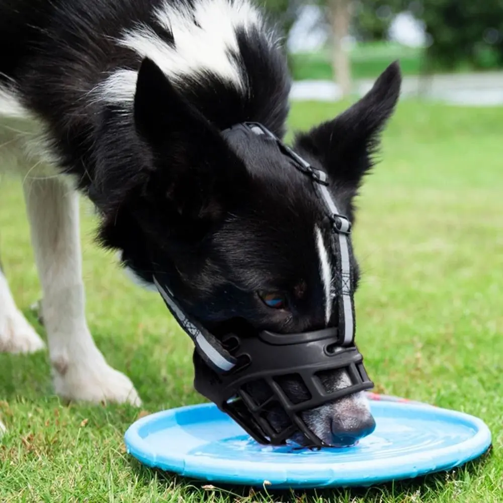Anti-Biting Dog Mouth Cover With Reflective Strip Adjustable Dog Muzzle Can Drink Water Breathable