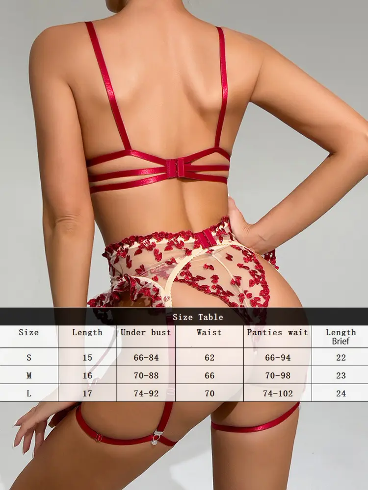 Heart Sensual Lingerie Naughty Women Lace Embroidery Fancy Underwear Exotic Set Ruffle Sissy Intim Delicate Sexy BDSM Outfits