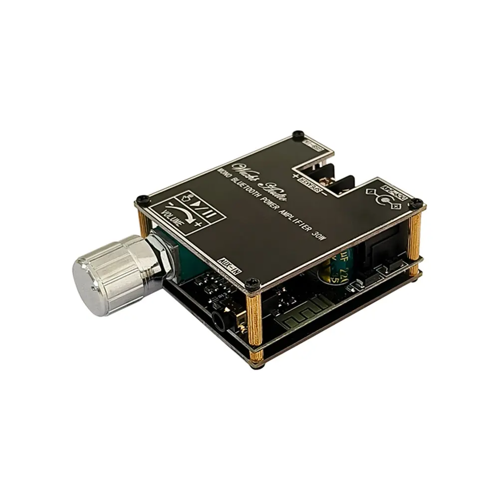 ZK-301B 30W Bluetooth 5.3 Audio Amplifier Module DC 9V-24V Mono Channel Digital Audio Amplifier Board Support Wireless TWS