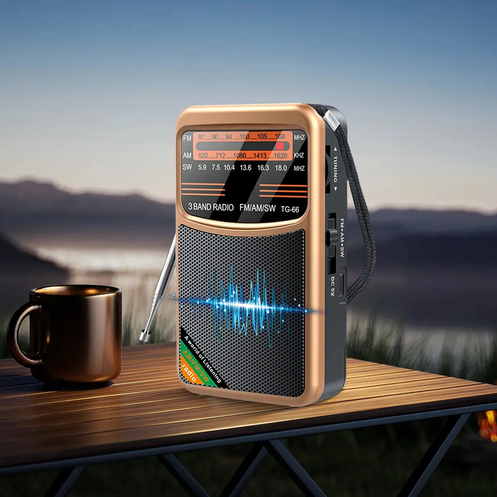 FM AM SW Radio Pocket Radio Rechargeable Radio for Outdoor Camping Seniors Elderly Walking