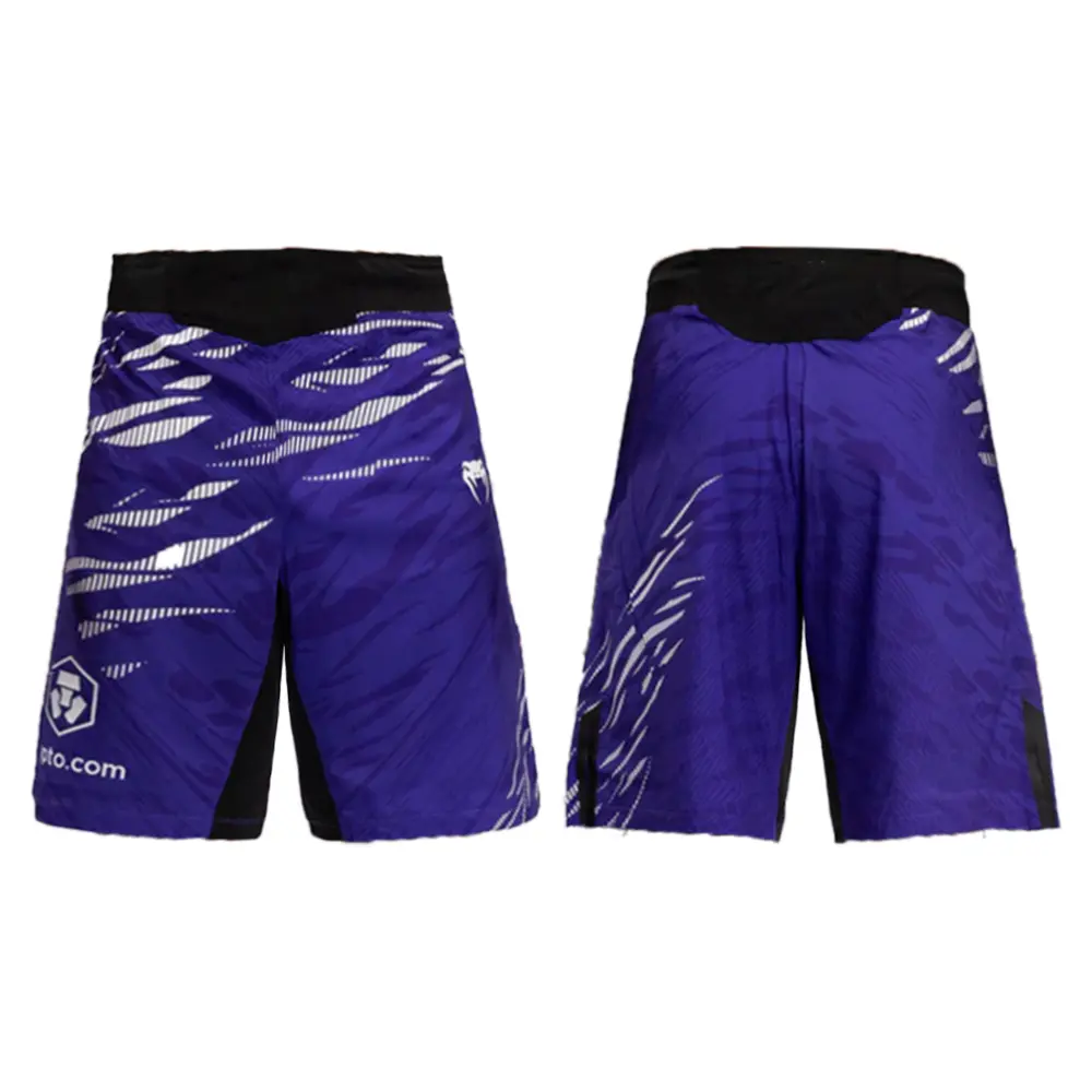 2025 New Summer Men's Quick Dry Shorts Fitness Breathable Sports Comfortable Sweat-Absorbing Shorts Fighting Boxing Shorts