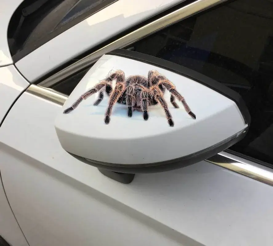 3D Car Spider Gecko Animal Design Car Sticker New Stereo Simulation Car Tail Decal Realistic Modification Sticker  Anime Decal