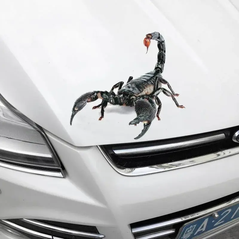 3D Car Spider Gecko Animal Design Car Sticker New Stereo Simulation Car Tail Decal Realistic Modification Sticker  Anime Decal