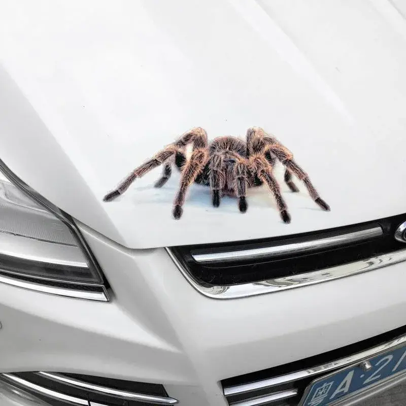3D Car Spider Gecko Animal Design Car Sticker New Stereo Simulation Car Tail Decal Realistic Modification Sticker  Anime Decal