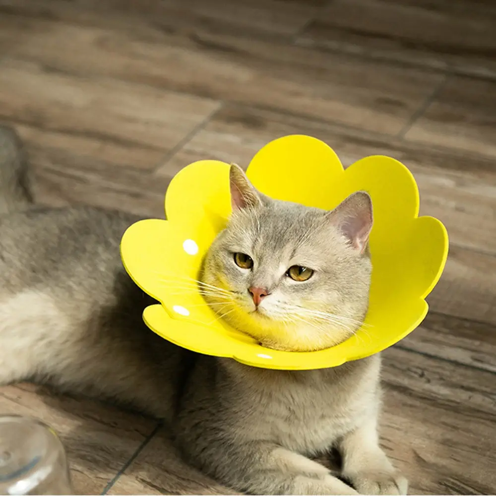 Elizabethan Collar Pet Protective Collar Cat Neck Cone Recovery Cone Collar for Anti-Bite Lick Surgery Wound