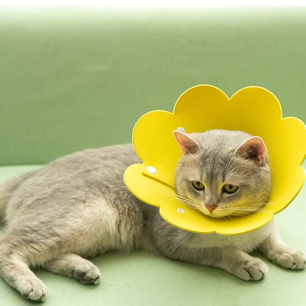 Elizabethan Collar Pet Protective Collar Cat Neck Cone Recovery Cone Collar for Anti-Bite Lick Surgery Wound
