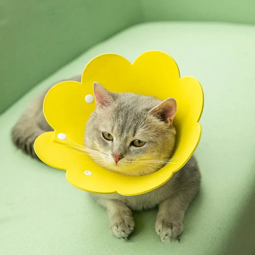 Elizabethan Collar Pet Protective Collar Cat Neck Cone Recovery Cone Collar for Anti-Bite Lick Surgery Wound