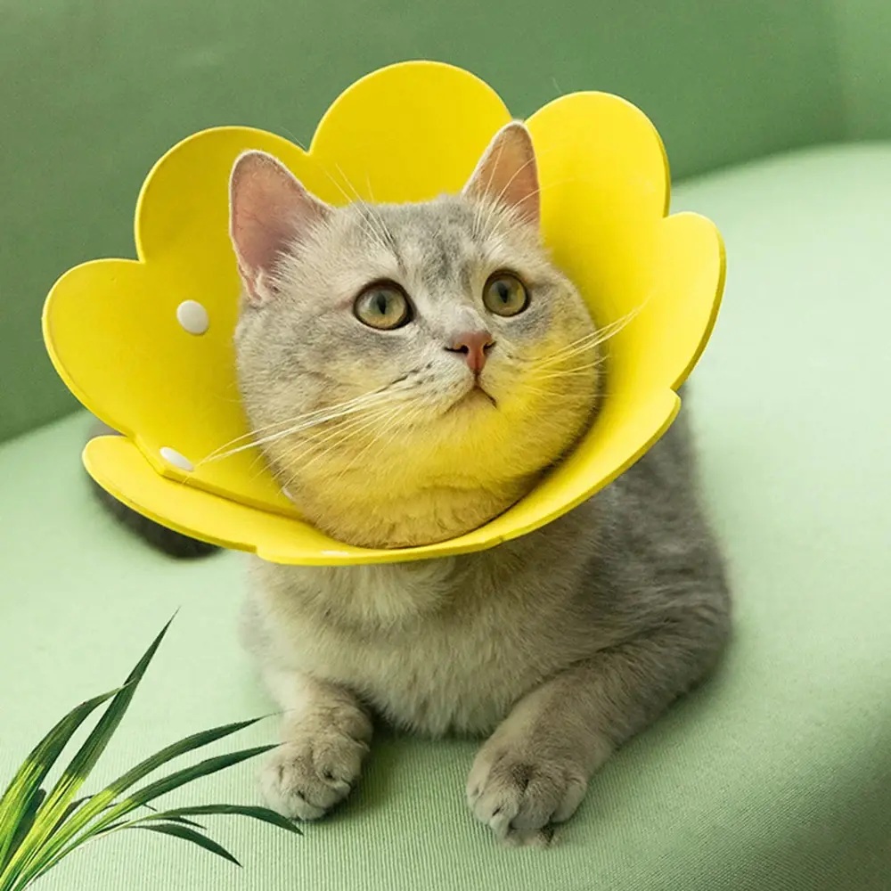 Elizabethan Collar Pet Protective Collar Cat Neck Cone Recovery Cone Collar for Anti-Bite Lick Surgery Wound