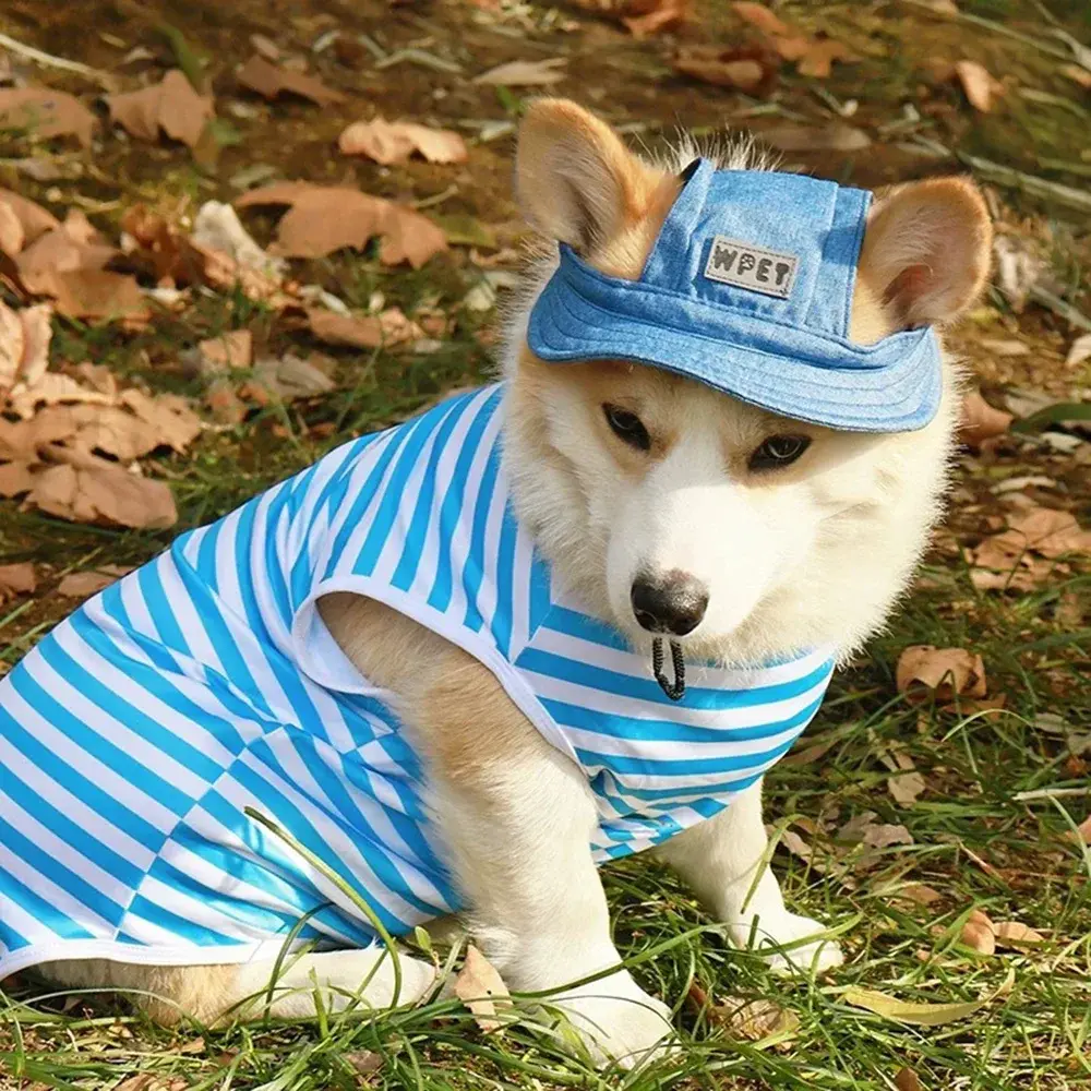 Dog Hat Summer Outdoor Adjustable Hat with Ear Holes Pet Sunhat for Small and Medium Dogs Puppy Cap Cat Hat Pet Accessories