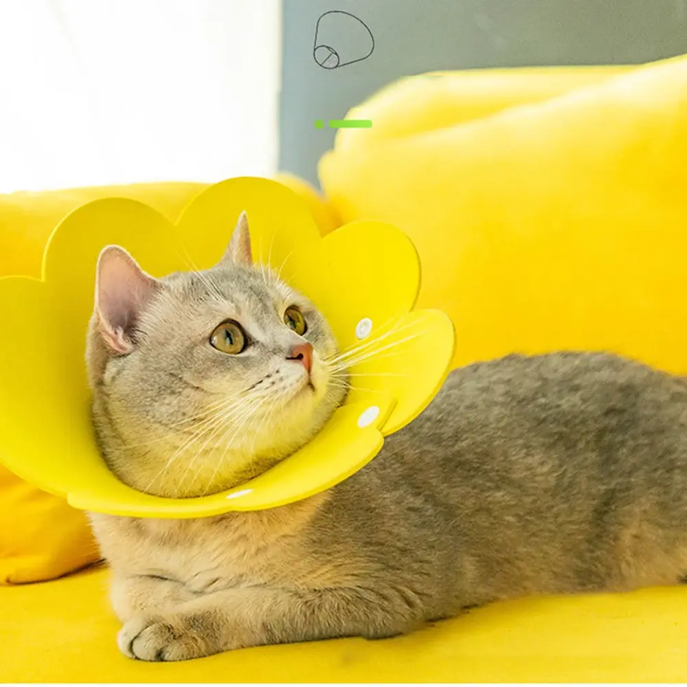 Elizabethan Collar Pet Protective Collar Cat Neck Cone Recovery Cone Collar for Anti-Bite Lick Surgery Wound