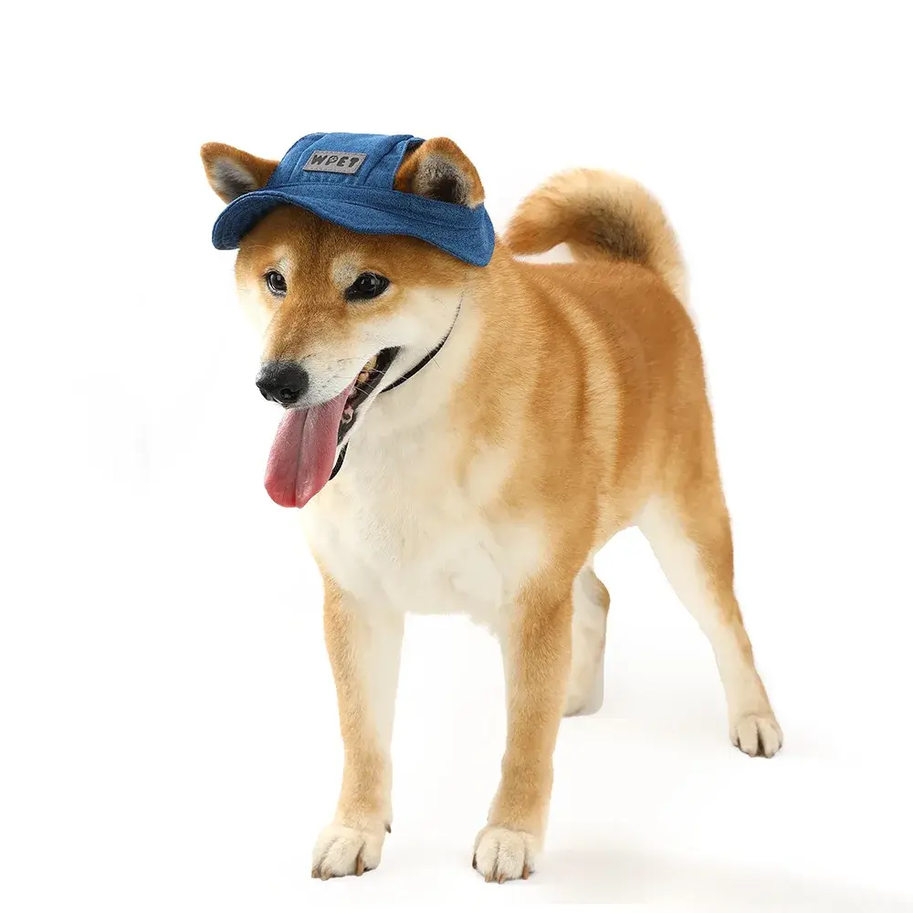 Dog Hat Summer Outdoor Adjustable Hat with Ear Holes Pet Sunhat for Small and Medium Dogs Puppy Cap Cat Hat Pet Accessories