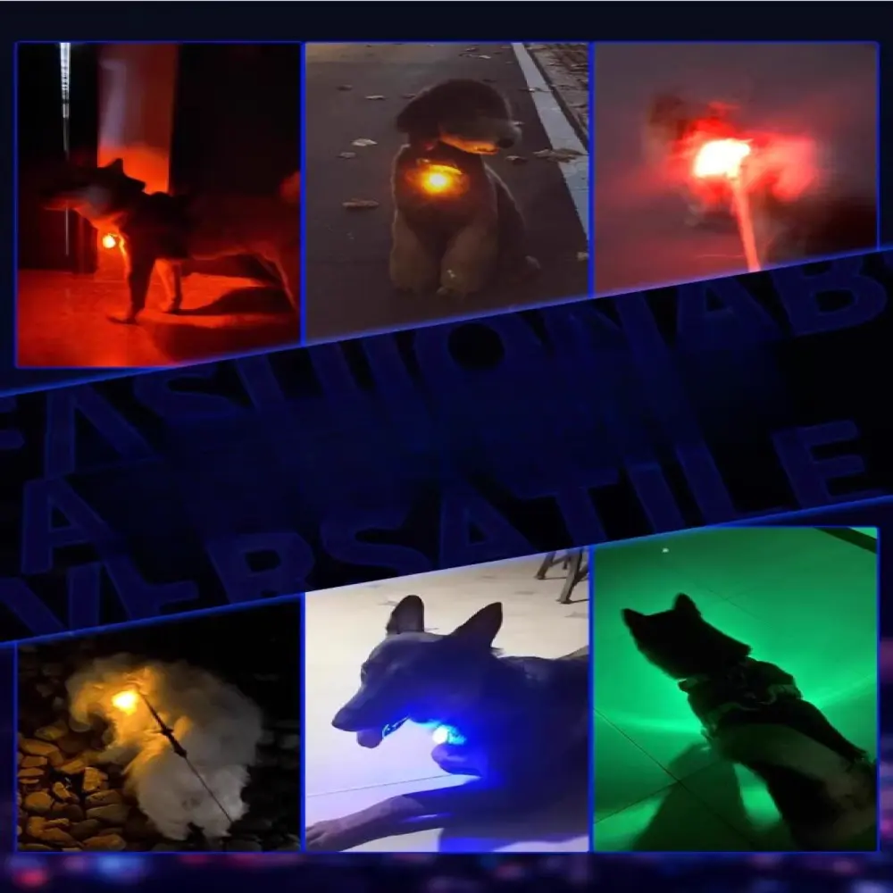 LED Luminous Pet Collar - Multi-Mode Glowing Pendant with Night Safety for Dogs & Cats