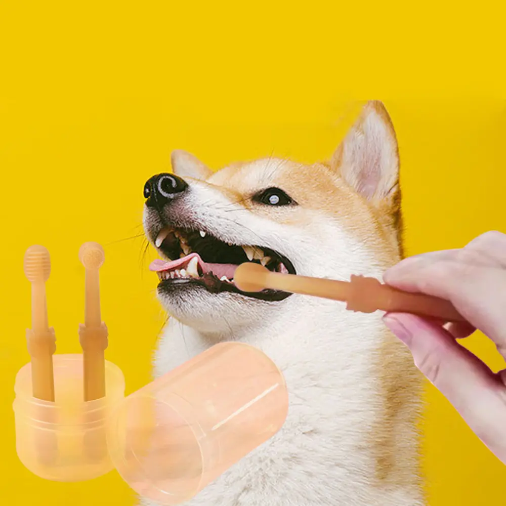 Pet Dog Toothbrush with Tongue Scraper Soft Silicone Dual Head Toothbrush for Dogs & Cats Oral Care Kit