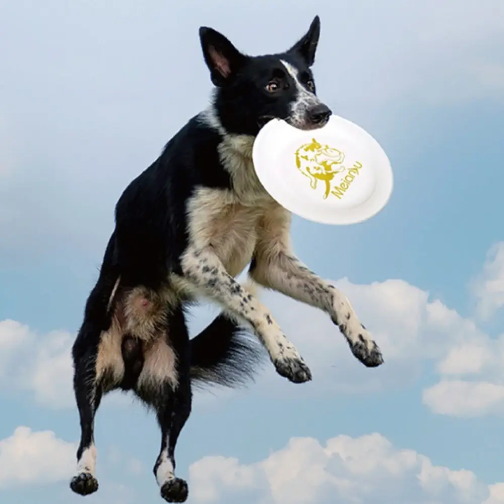 Professional Dog Flying Discs Pet Competition Flying Disk Dog Training Toy Puppy Puppy Flying Discs Interactive Toy 185mm/235mm
