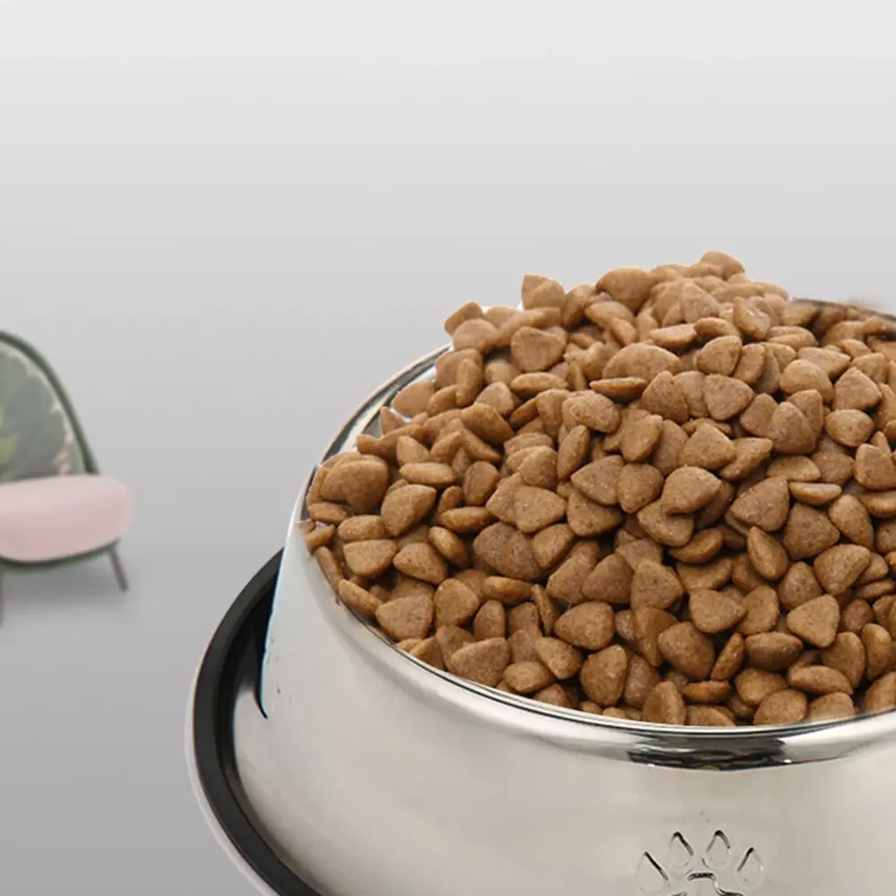 Stainless Steel Dog Cat Food Bowl Pets Quality Metal Pawprint Feeder Non-slip Pet Feeding Container with Rubber Base Accessories