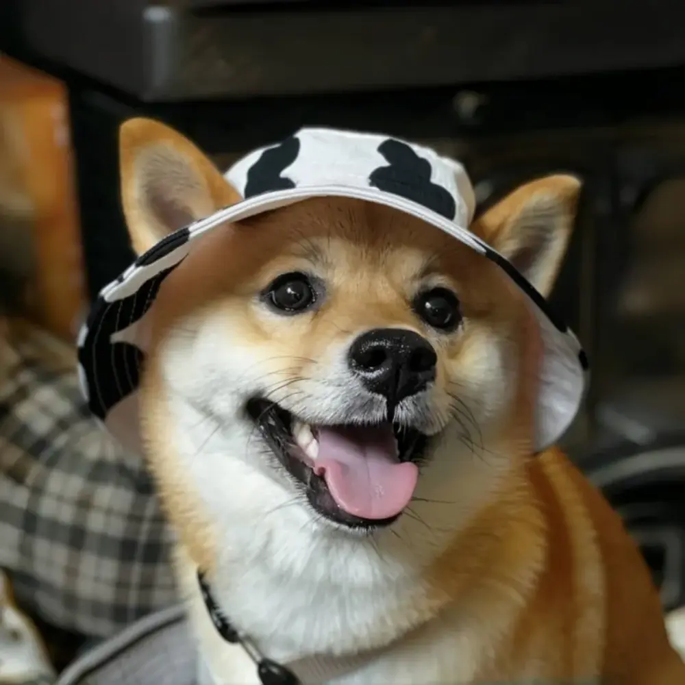 324