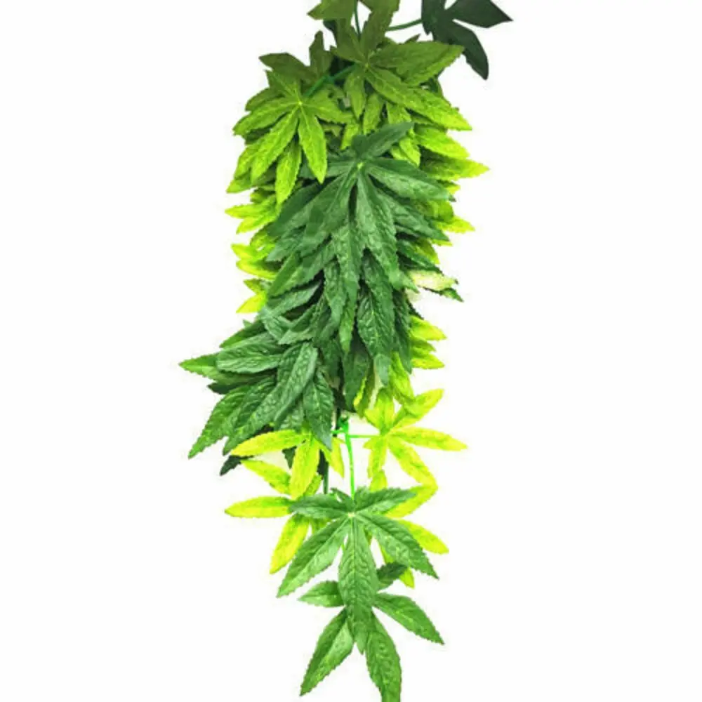 324