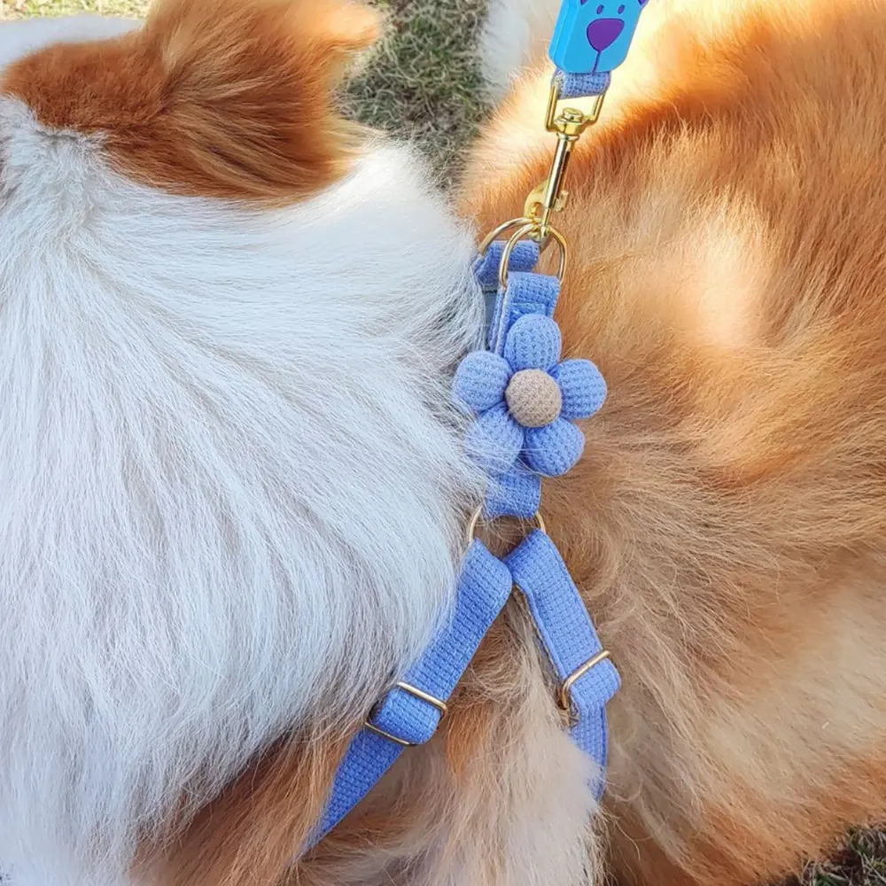 Floral Adjustable Pet Harness & Neckband Set - Soft Polyester for Cats & Small/Medium Dogs Pet Leash Accessories