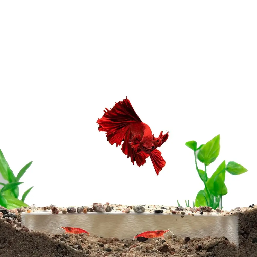 Aquarium Shrimp Shelter House Fish and Shrimp Breeding Protector Cave Hide Shelter Fish Tank Decoration Pet Supplies
