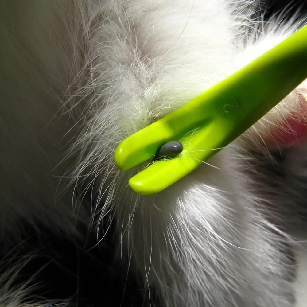 3pcs Pet Flea Tick Remover Hook Cat Dog Grooming Pest Removal Supplies Insect Clips Kittens Lice Removal Pet Cleaning Tools