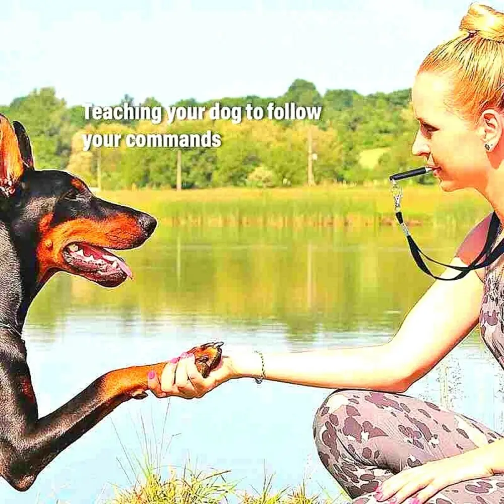 Professional Ultrasonic Dog Training Whistle Adjustable Silent Stop Barking Recall Tool