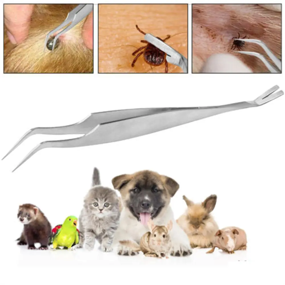 Surgical-Grade Stainless Steel Flea & Tick Remover - 2-in-1 Dual Hook & Tweezers for Dogs/Cats (Vet-Approved Grooming Kit)