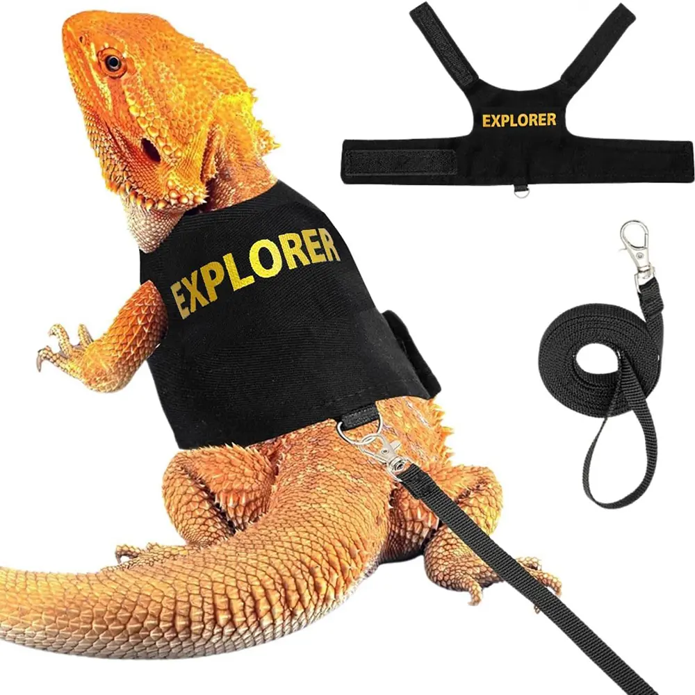Reptile Leash Harness Soft Padding Dragon Wings Vest with Hook and Loop for Small Animals Cute Security Clothes