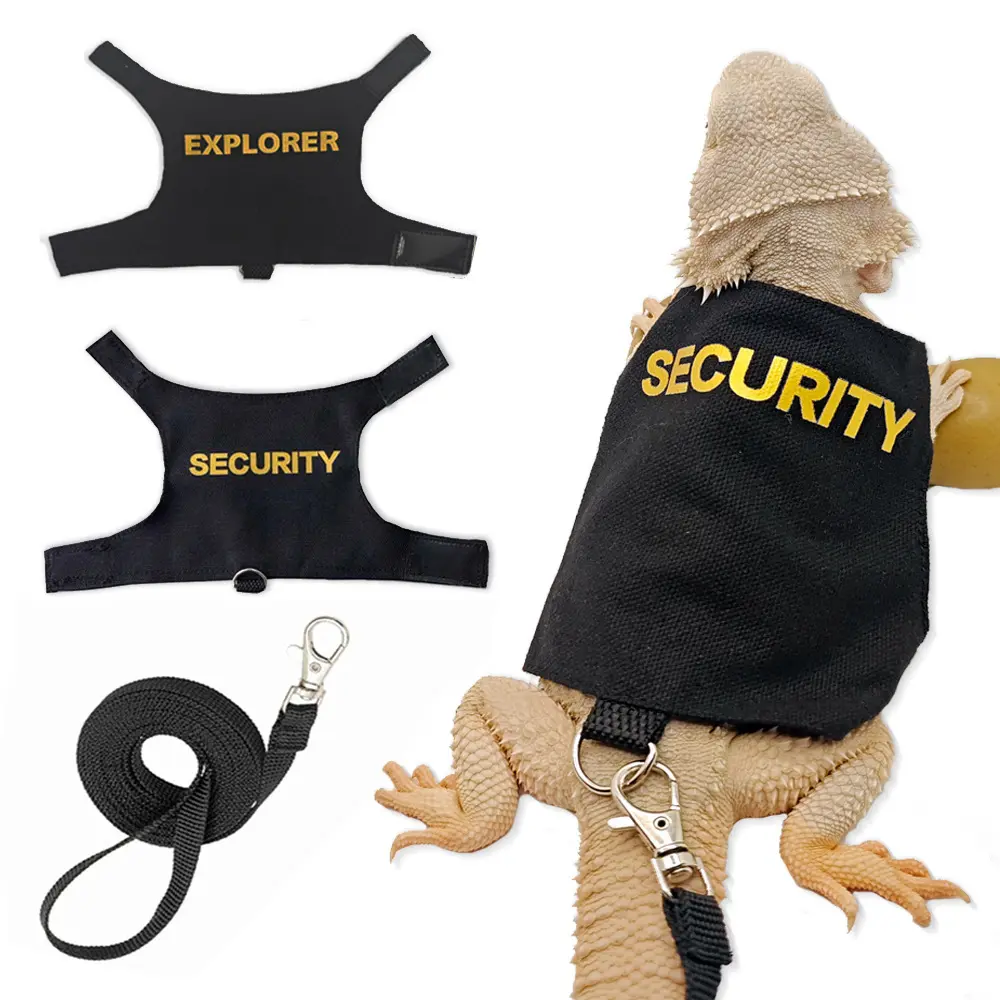 Reptile Leash Harness Soft Padding Dragon Wings Vest with Hook and Loop for Small Animals Cute Security Clothes