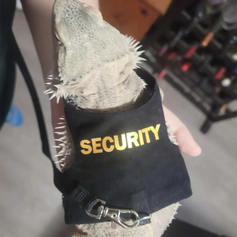 Reptile Leash Harness Soft Padding Dragon Wings Vest with Hook and Loop for Small Animals Cute Security Clothes