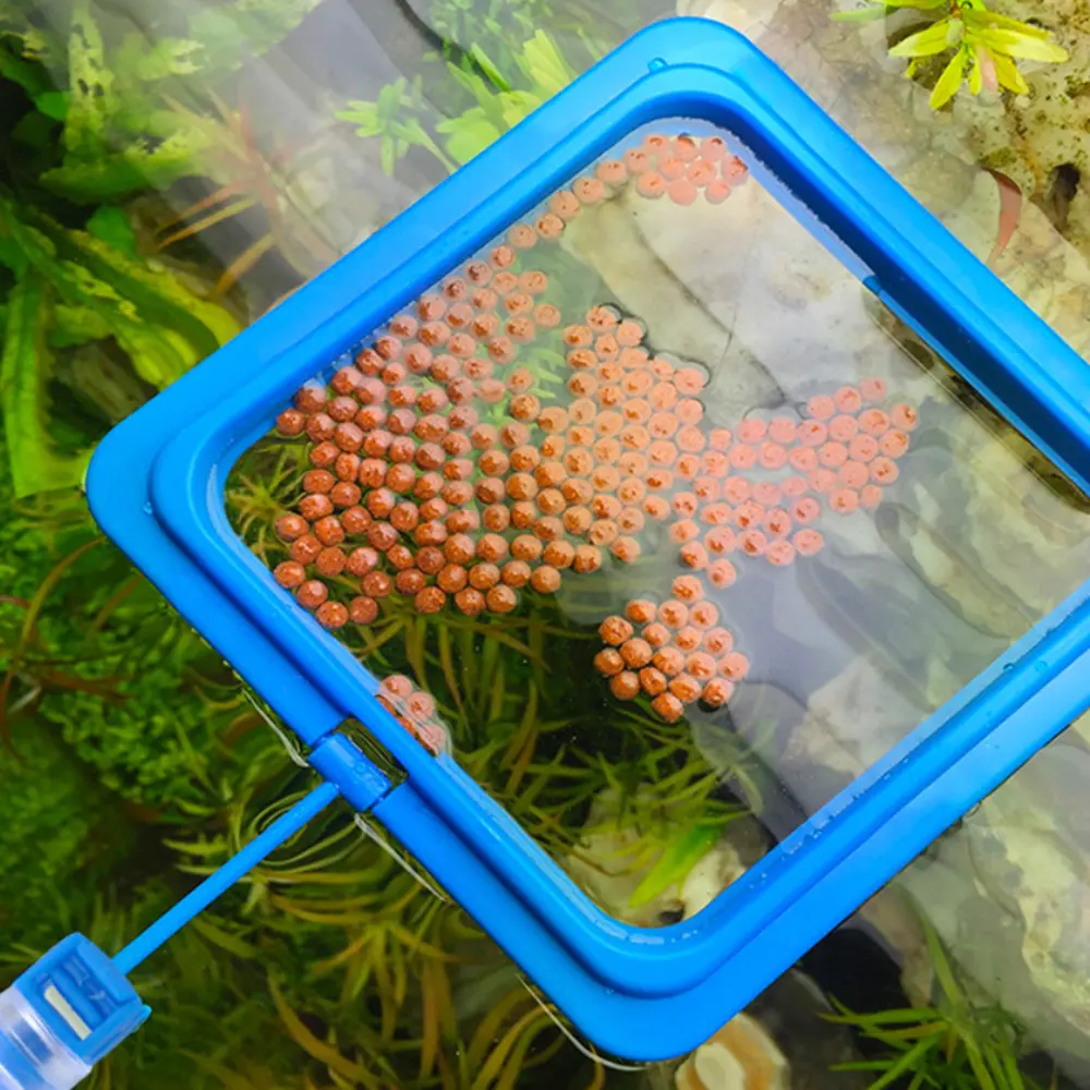 2pcs Aquarium Feeding Ring Floating Food Tray Fish Tank Station  Square Round Feeder  Fish Feeding Suction Cup Aquarium Supplies