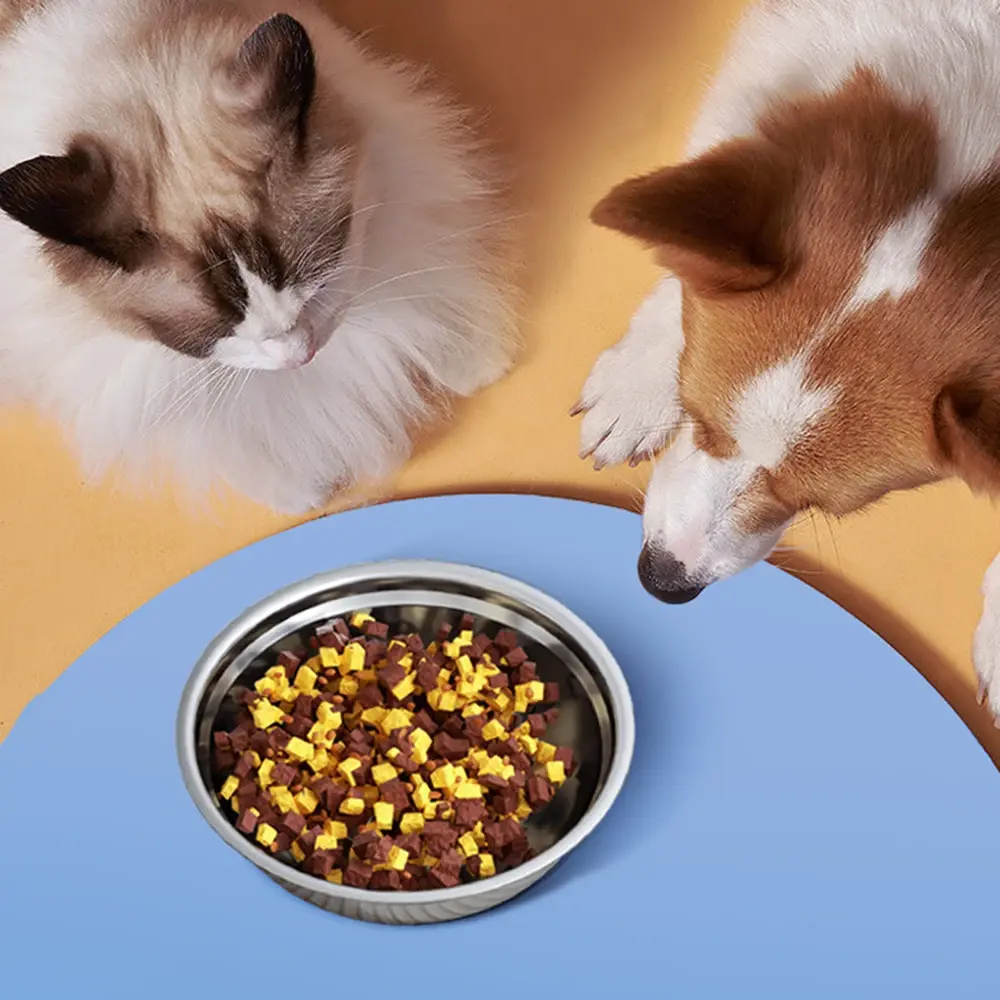Large Capacity Bowl Stainless Steel Safe Durable Pet Feeding Bowl Cat Dog Food Drinking Feeder Bowl Pet Supplies